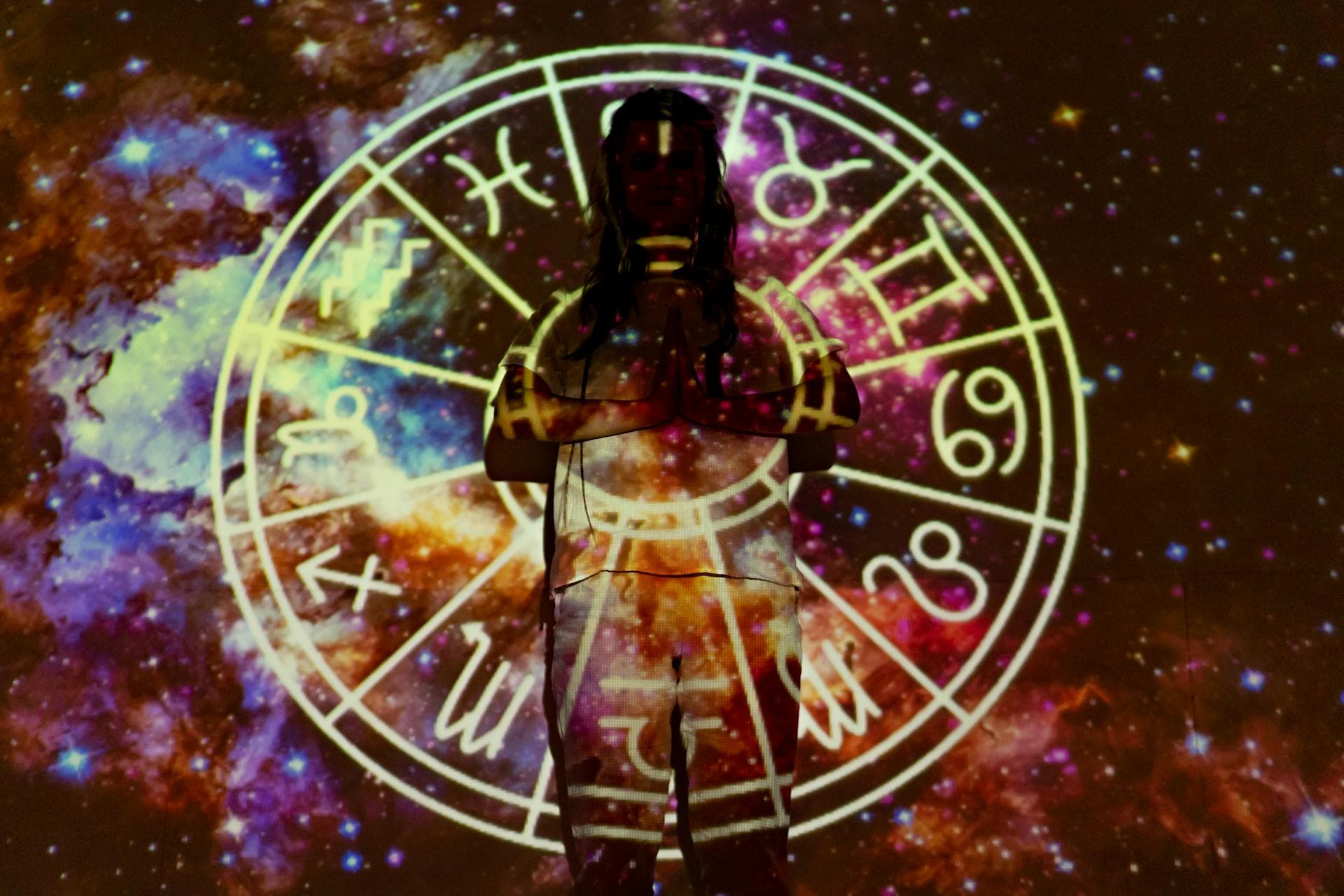 Zodiac wheel showing the twelve astrological signs used in both Vedic and Western systems